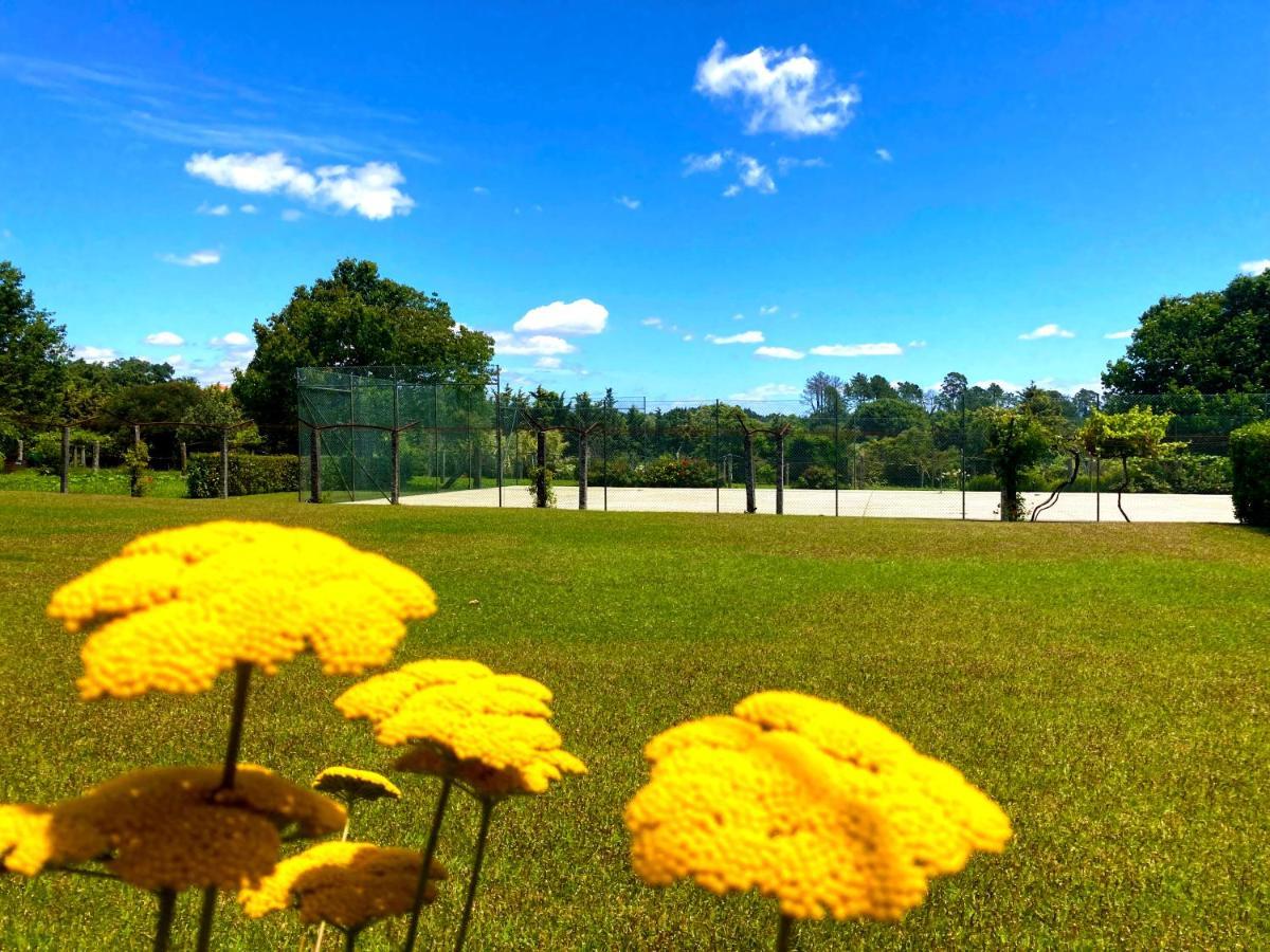 Quinta Dom Sapo - Agroturismo Виана-ду-Каштелу Экстерьер фото
